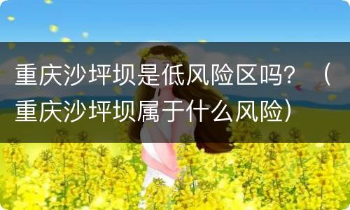 重庆沙坪坝是低风险区吗？（重庆沙坪坝属于什么风险）