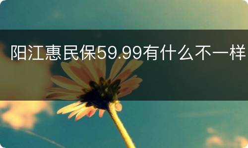 阳江惠民保59.99有什么不一样
