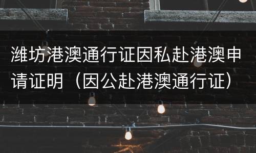 潍坊港澳通行证因私赴港澳申请证明（因公赴港澳通行证）