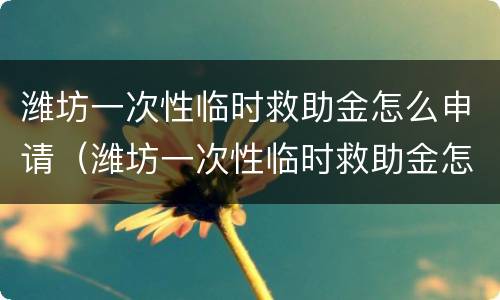 潍坊一次性临时救助金怎么申请（潍坊一次性临时救助金怎么申请的）