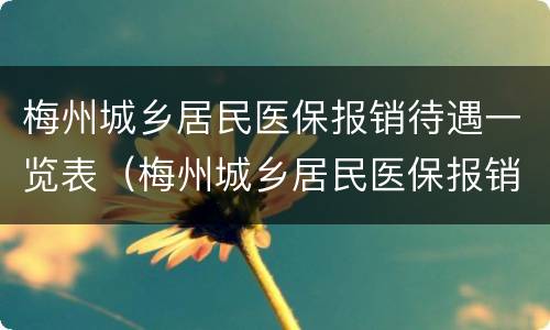 梅州城乡居民医保报销待遇一览表（梅州城乡居民医保报销待遇一览表查询）