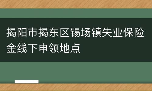 揭阳市揭东区锡场镇失业保险金线下申领地点