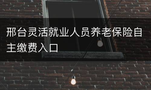 邢台灵活就业人员养老保险自主缴费入口