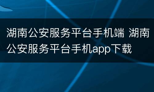 湖南公安服务平台手机端 湖南公安服务平台手机app下载
