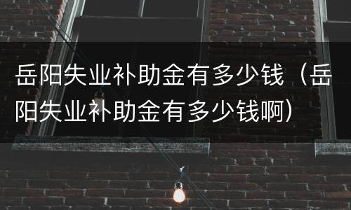 岳阳失业补助金有多少钱（岳阳失业补助金有多少钱啊）