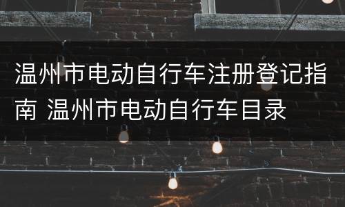 温州市电动自行车注册登记指南 温州市电动自行车目录
