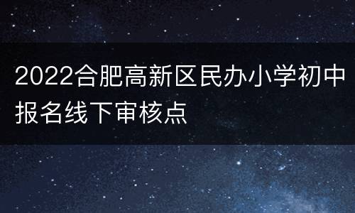 2022合肥高新区民办小学初中报名线下审核点