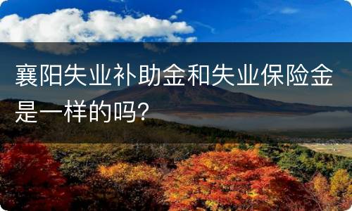 襄阳失业补助金和失业保险金是一样的吗？