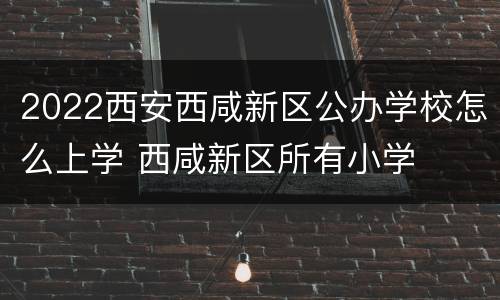 2022西安西咸新区公办学校怎么上学 西咸新区所有小学