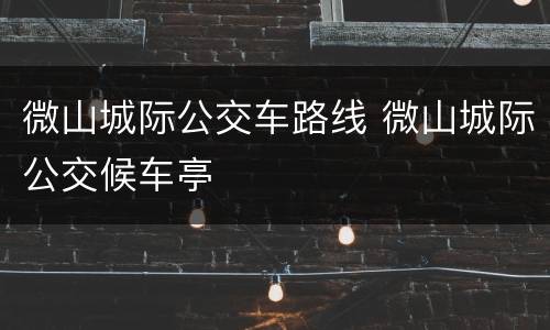 微山城际公交车路线 微山城际公交候车亭