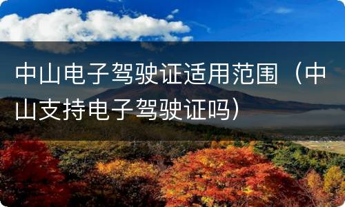 中山电子驾驶证适用范围（中山支持电子驾驶证吗）
