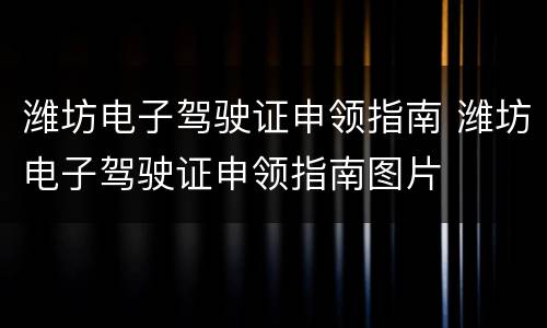 潍坊电子驾驶证申领指南 潍坊电子驾驶证申领指南图片