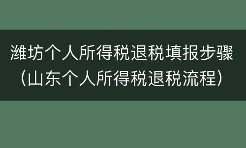 潍坊个人所得税退税填报步骤（山东个人所得税退税流程）