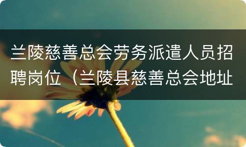 兰陵慈善总会劳务派遣人员招聘岗位（兰陵县慈善总会地址）