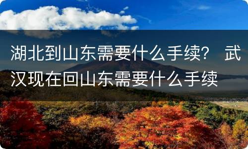 湖北到山东需要什么手续？ 武汉现在回山东需要什么手续