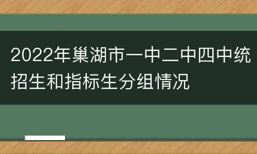 2022年巢湖市一中二中四中统招生和指标生分组情况
