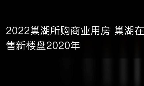 2022巢湖所购商业用房 巢湖在售新楼盘2020年