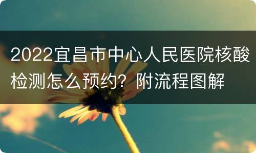 2022宜昌市中心人民医院核酸检测怎么预约？附流程图解