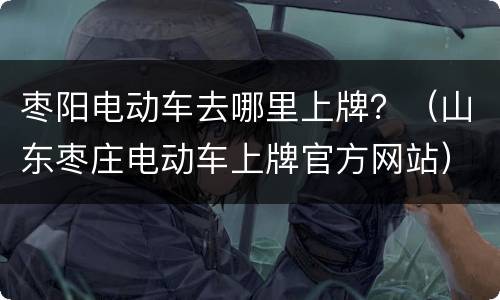 枣阳电动车去哪里上牌？（山东枣庄电动车上牌官方网站）