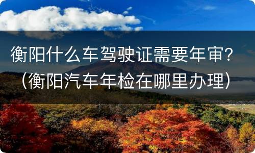 衡阳什么车驾驶证需要年审？（衡阳汽车年检在哪里办理）