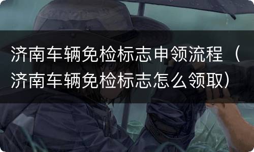 济南车辆免检标志申领流程（济南车辆免检标志怎么领取）