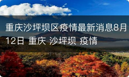 重庆沙坪坝区疫情最新消息8月12日 重庆 沙坪坝 疫情