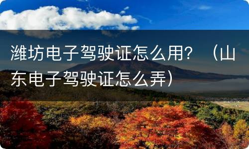 潍坊电子驾驶证怎么用？（山东电子驾驶证怎么弄）