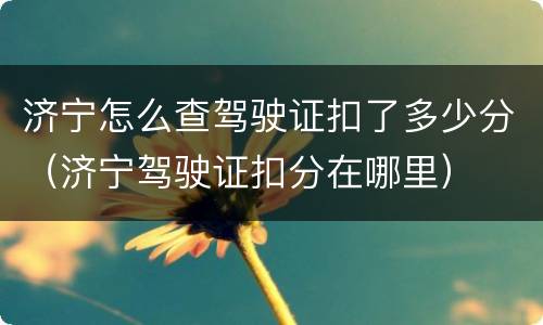 济宁怎么查驾驶证扣了多少分（济宁驾驶证扣分在哪里）