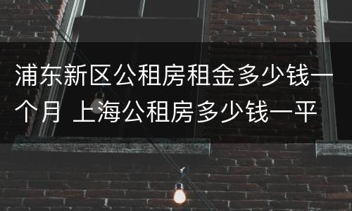 浦东新区公租房租金多少钱一个月 上海公租房多少钱一平