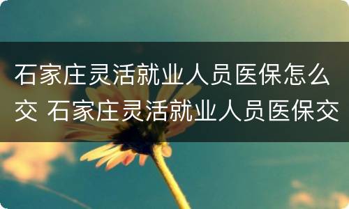 石家庄灵活就业人员医保怎么交 石家庄灵活就业人员医保交多少钱