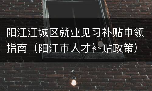 阳江江城区就业见习补贴申领指南（阳江市人才补贴政策）