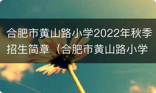 合肥市黄山路小学2022年秋季招生简章（合肥市黄山路小学2022年秋季招生简章视频）