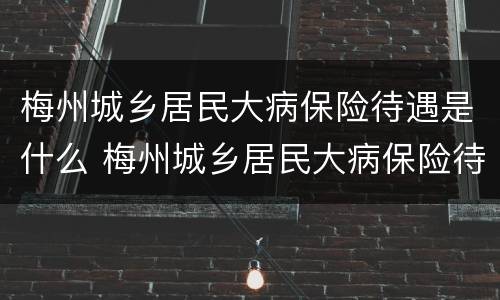 梅州城乡居民大病保险待遇是什么 梅州城乡居民大病保险待遇是什么时候发放