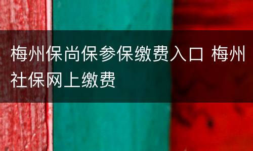 梅州保尚保参保缴费入口 梅州社保网上缴费