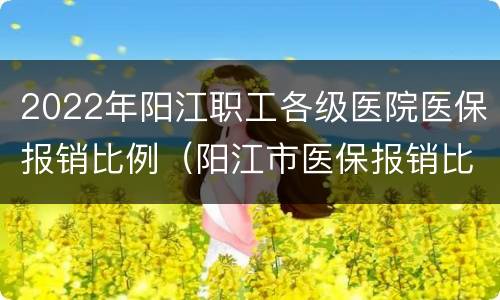 2022年阳江职工各级医院医保报销比例（阳江市医保报销比例）