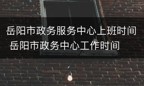 岳阳市政务服务中心上班时间 岳阳市政务中心工作时间