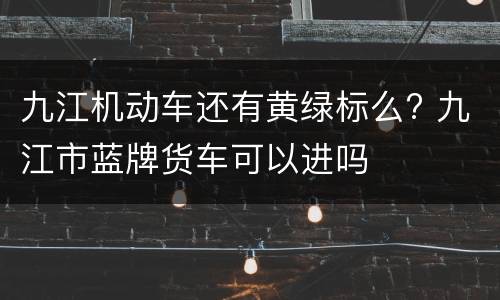 九江机动车还有黄绿标么? 九江市蓝牌货车可以进吗