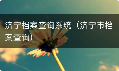 济宁档案查询系统（济宁市档案查询）