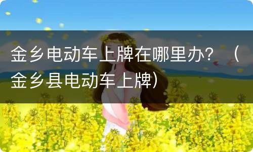 金乡电动车上牌在哪里办？（金乡县电动车上牌）