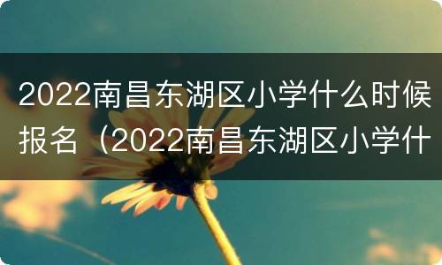 2022南昌东湖区小学什么时候报名（2022南昌东湖区小学什么时候报名呢）