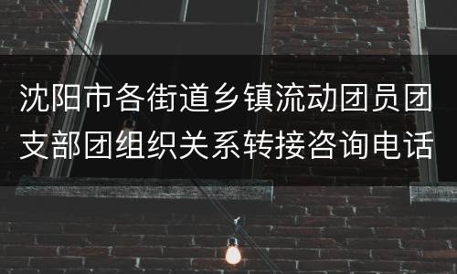 沈阳市各街道乡镇流动团员团支部团组织关系转接咨询电话汇总