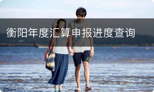 衡阳年度汇算申报进度查询