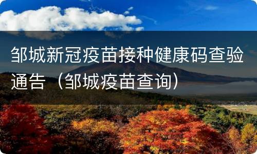 邹城新冠疫苗接种健康码查验通告（邹城疫苗查询）