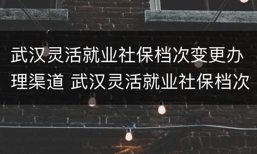 武汉灵活就业社保档次变更办理渠道 武汉灵活就业社保档次变更办理渠道有哪些