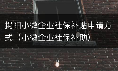 揭阳小微企业社保补贴申请方式（小微企业社保补助）