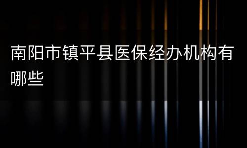 南阳市镇平县医保经办机构有哪些
