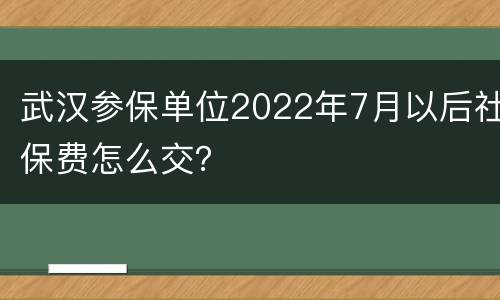 武汉参保单位2022年7月以后社保费怎么交？