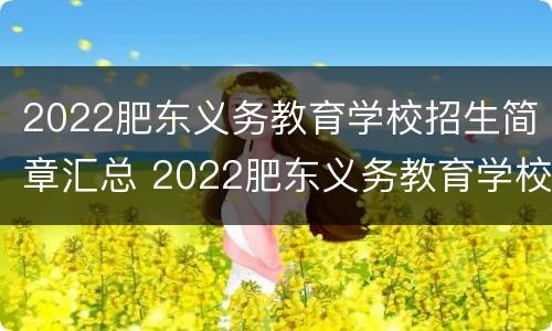 2022肥东义务教育学校招生简章汇总 2022肥东义务教育学校招生简章汇总图片