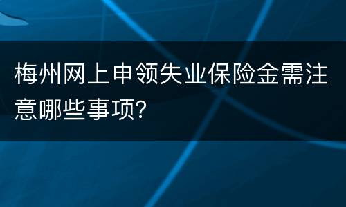 梅州网上申领失业保险金需注意哪些事项？