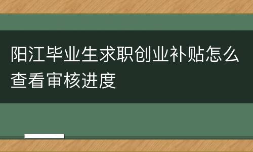 阳江毕业生求职创业补贴怎么查看审核进度